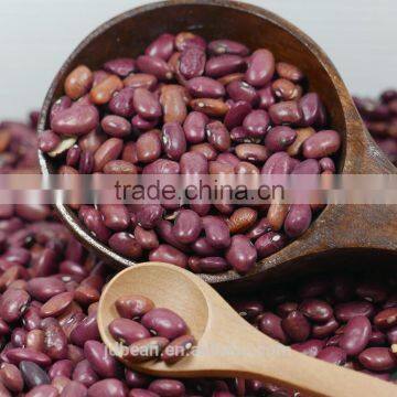 red kidney bean buyers