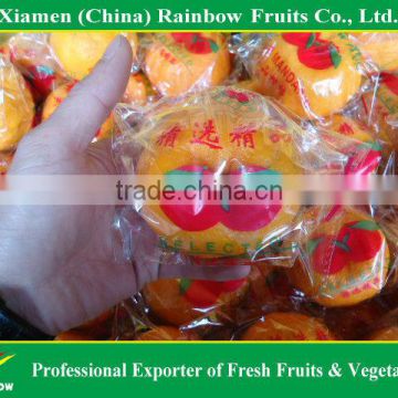 mandarin orange/Lokam