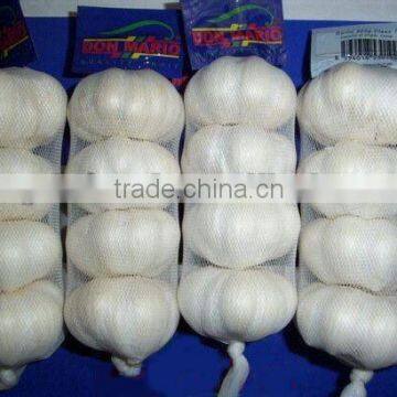 Fresh Garlic for sale