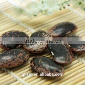 export quality kidney beans, black lentiles, black kidney beans