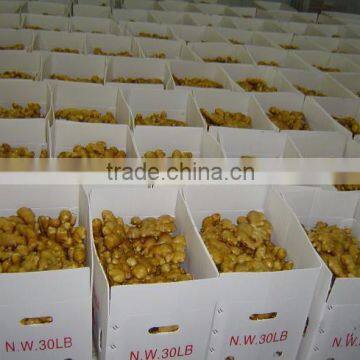 Hot Sale Organic 2016 Fresh Ginger photo-6