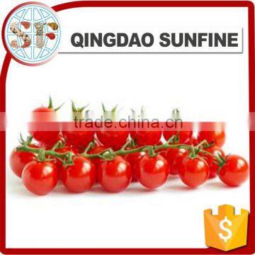 Bulk Preserved Dried Cherry Tomato