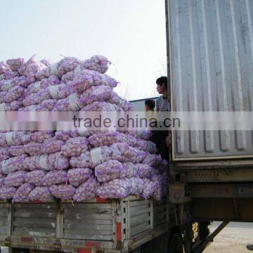 Fresh Indonesian White Garlic & Import China Pure Garlic, White Garlic, Ginger & Carrot photo-2
