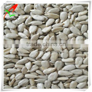 sunflower seed kernels bakery supplier