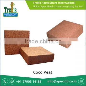 Wide Range of Coco Peat Price Wholesale