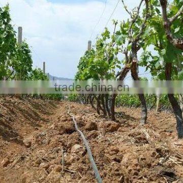 Best Price Agriculture Irrigation Drip Tape From China