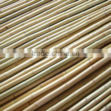 Natural dry bamboo poles