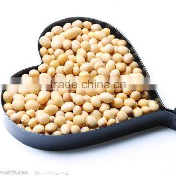 Automatic Grain Bag Filling Sealing Machine photo-4