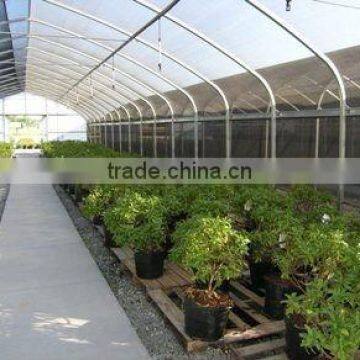 Multi Span Poly Film Tunnel Vinyl Greenhouse