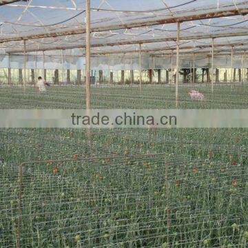 Blowing Molding, Multi-span, Tunnel PE Material, Agricultural Greenhouse Film Manufacturer photo-2