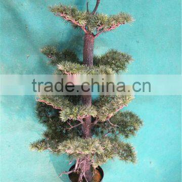 Home Garden Decoration 50cm to 160 cm Hight Small Indoor Canadian Artificial Green Pot Plastic Similar Pine Trees ELSPZ02 0906 photo-2