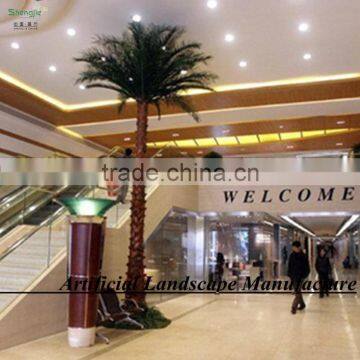 Top Sale Indoor and Outdoor Decorative Large Fake Palm Tree photo-5