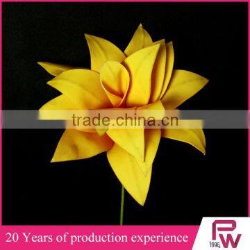 Wholesale Large Indoor Tropical Plants