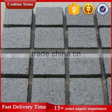Flamed Black China Granite Walkway Pavers With Net Paste photo-2