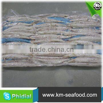 2015 China Mackerel Frozen Seafood Brands photo-5