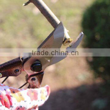 Round Blade Razor Sharp Garden Clippers, Tree Trimmers, Secateurs and Steel Bypass Pruner