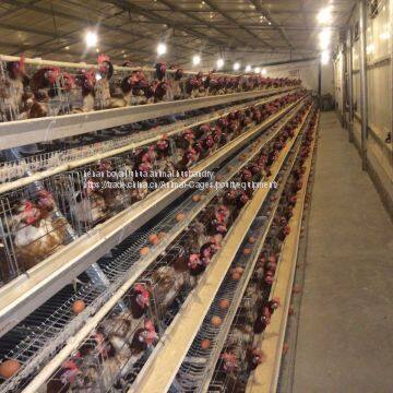 Poultry Farming Equipment
