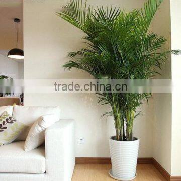 Decor Indoor Artificial Areca Tree Decoration Home Artificial Areca Tree Decor Indoor Office photo-6