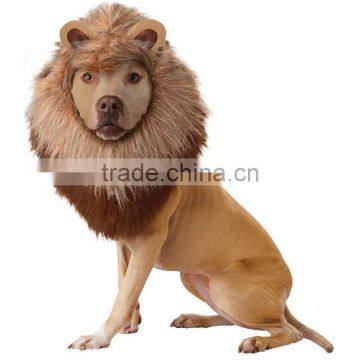 Lion Dog Costume