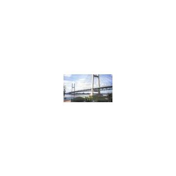 Suspension Deck Cable - Stayed Bridge / Steel Truss Bridge With Straight Cables