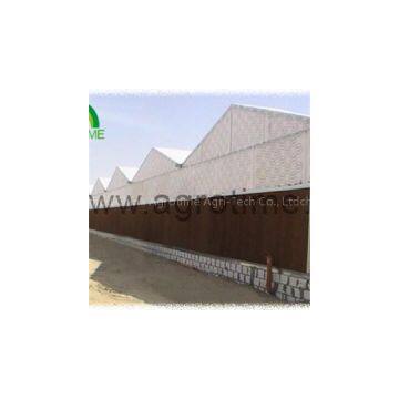 Multi Span Polycabonate Greenhouse