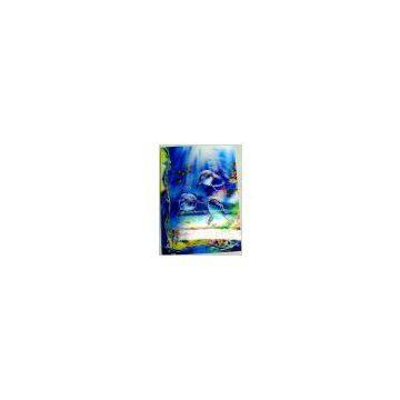 3D image blisters