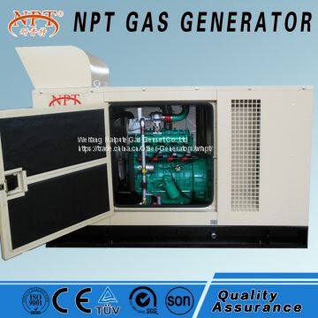 10-1000kW Gas Generator From Weifang Naipute