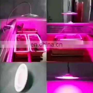 cob led grow light 300W Phyto lamp  growth full spectrum plant lighting for Indoor greenhouse  plant