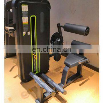 High Quality Commercial Bodybuilding Pin Load Fitness Equipment Back Extension for Club Training With Cheap Price