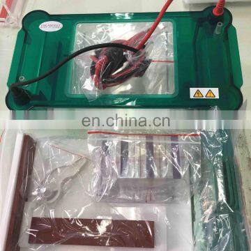 Vertical Mini Protean Gel Electrophoresis Apparatus Cell photo-5