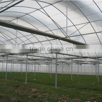 Brand New Film for Greenhouse Made in China photo-2