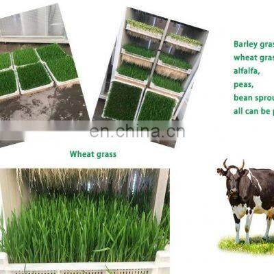 Full Automatic Hydroponic Barley Fodder System Hydroponic Wheat Barley Fodder Sprout Machine