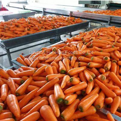 Cauliflower, Broccoli,carrots,sweet Corn, Garlic Frozen Vegetables photo-4