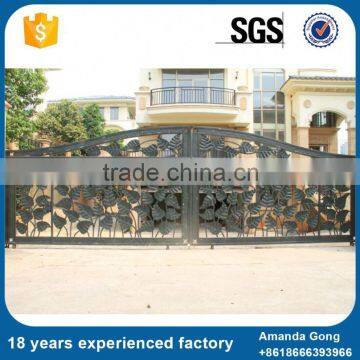 Top Quality Newest Design Home Main Gate photo-5