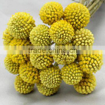 Natural antique gold flowers wholesale