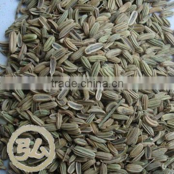 new crops, fennel seeds