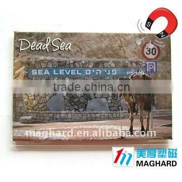 Iron Fridge Magnet Tourist souvenir Dead sea