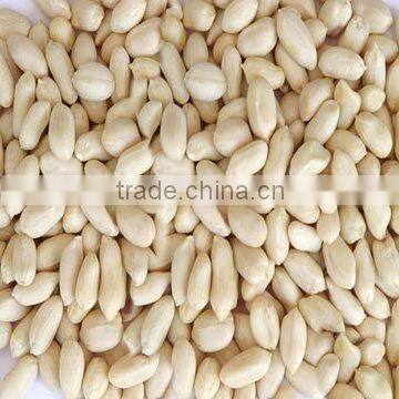 blanched peanuts