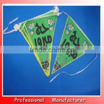 national flag in small size,20*30cm Bunting Party Flag,triangle flag bunting