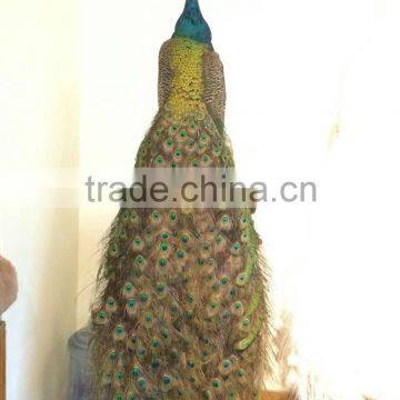 High Simulated Vivid Peacock Statue for Indoor Decoration