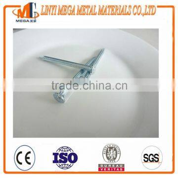 Stainless Steel Concrete Nail photo-2