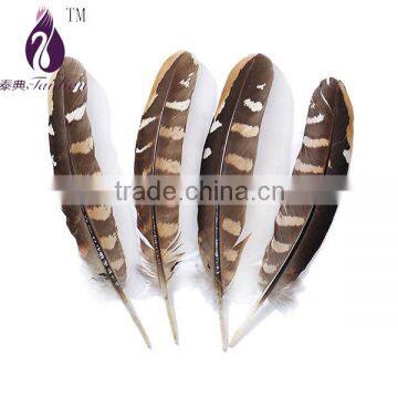 Brown&Yellow reeves venery pheasant wings feathers