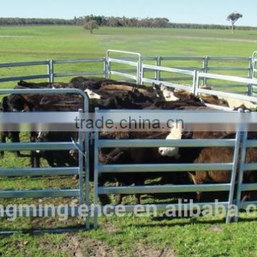 Galvanized steel cattle stockyard fencing panel / 1.8x2.1M livestock fence panel