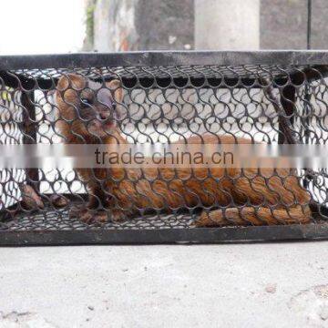 tagar cage wire mesh