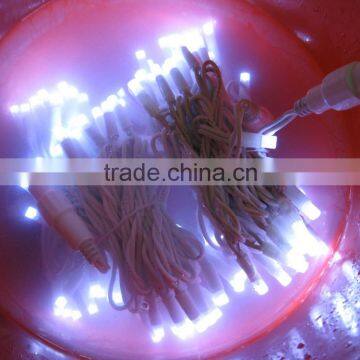 Steady Wire Frame Christmas Light Motif