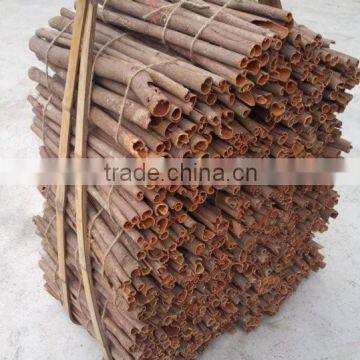 Chinese Tube Cassia HOT Origin City -- Luoding photo-2