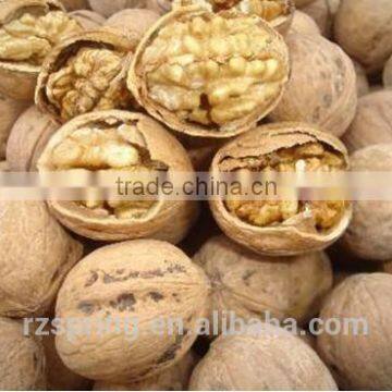 thin shell walnut