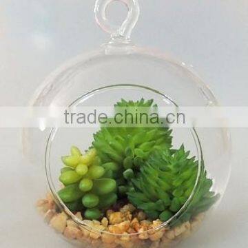 Made in China Interior Decoration Hanging Glass Ball Succulent