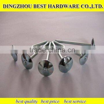 Roofing Nail With Umbrella Head photo-6