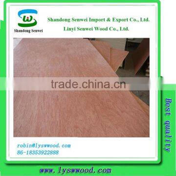 combi core 6mm quality bintangor plywood sheets with BB/CC grade